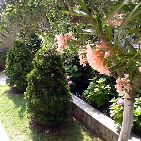 Apartament Yanevi *